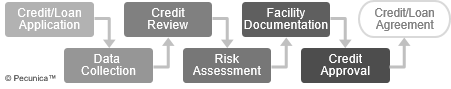 This illustrates the steps in the credit/loan approval process, starting with the credit application followed by data collection, credit review, risk assessment, facility documentation, credit approval and concluding with the credit/loan agreement.